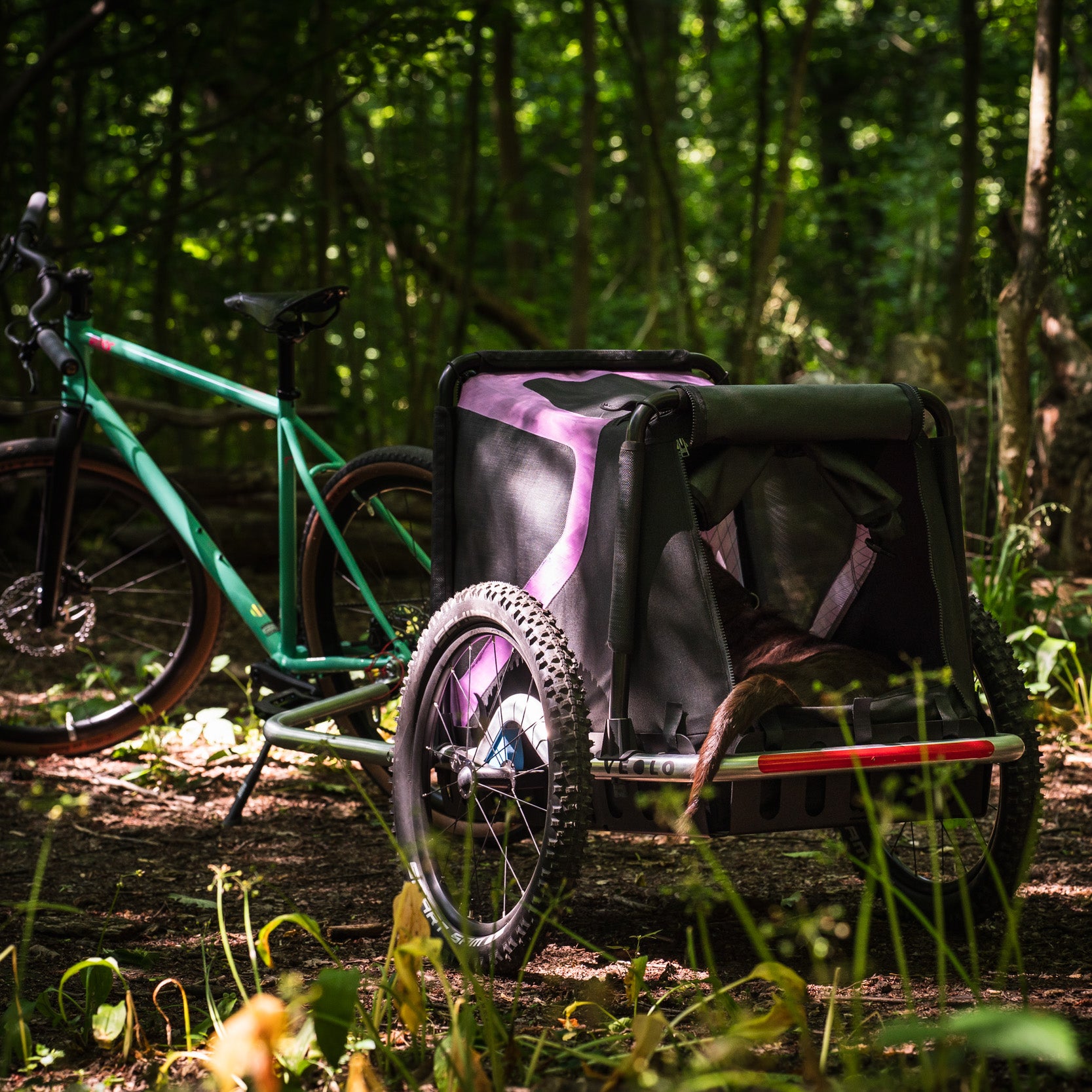 Hundeanhänger mit sportlichem Fahrrad im Wald