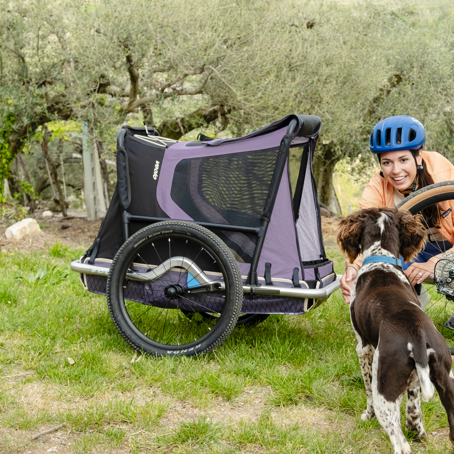 Ersatz-Textil-Verdeck für die veolo Dog 2.0