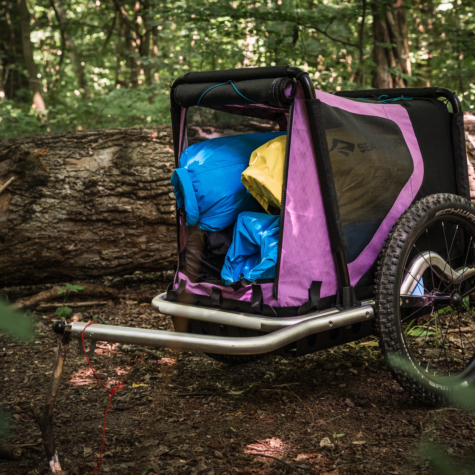 Gepäcktransport im Hundeanhänger