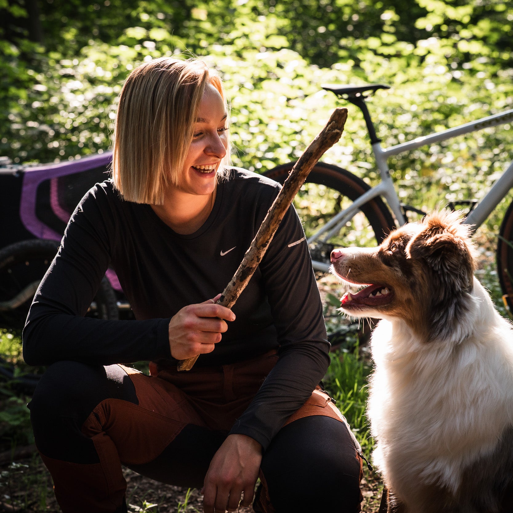 Spiel und Spass mit Hund und Hänger
