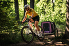 Sportlich unterwegs mit Gravelbike und Hund im veolo Hundenahänger