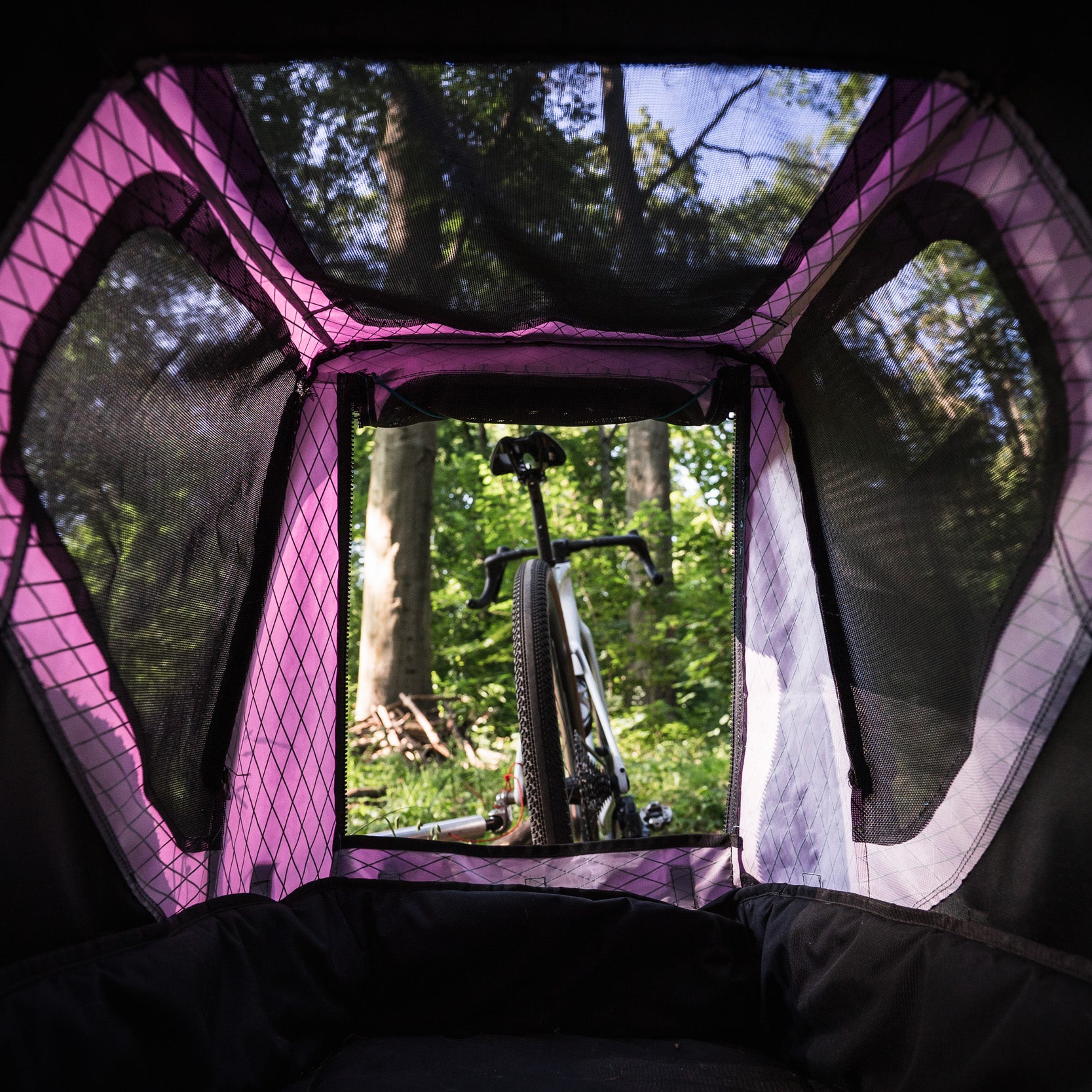 Gute Ausblicke im Hundeanhänger