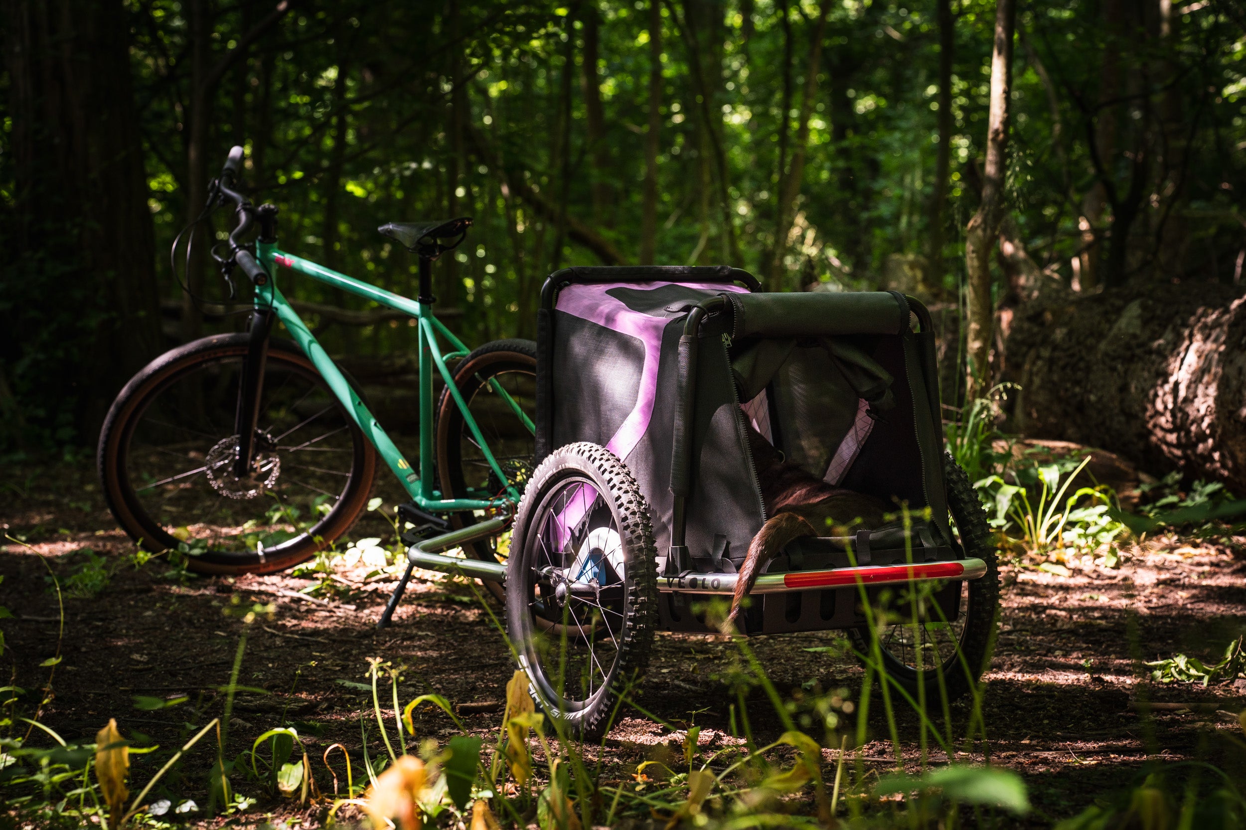 Hundeanhänger mit sportlichem Fahrrad im Wald