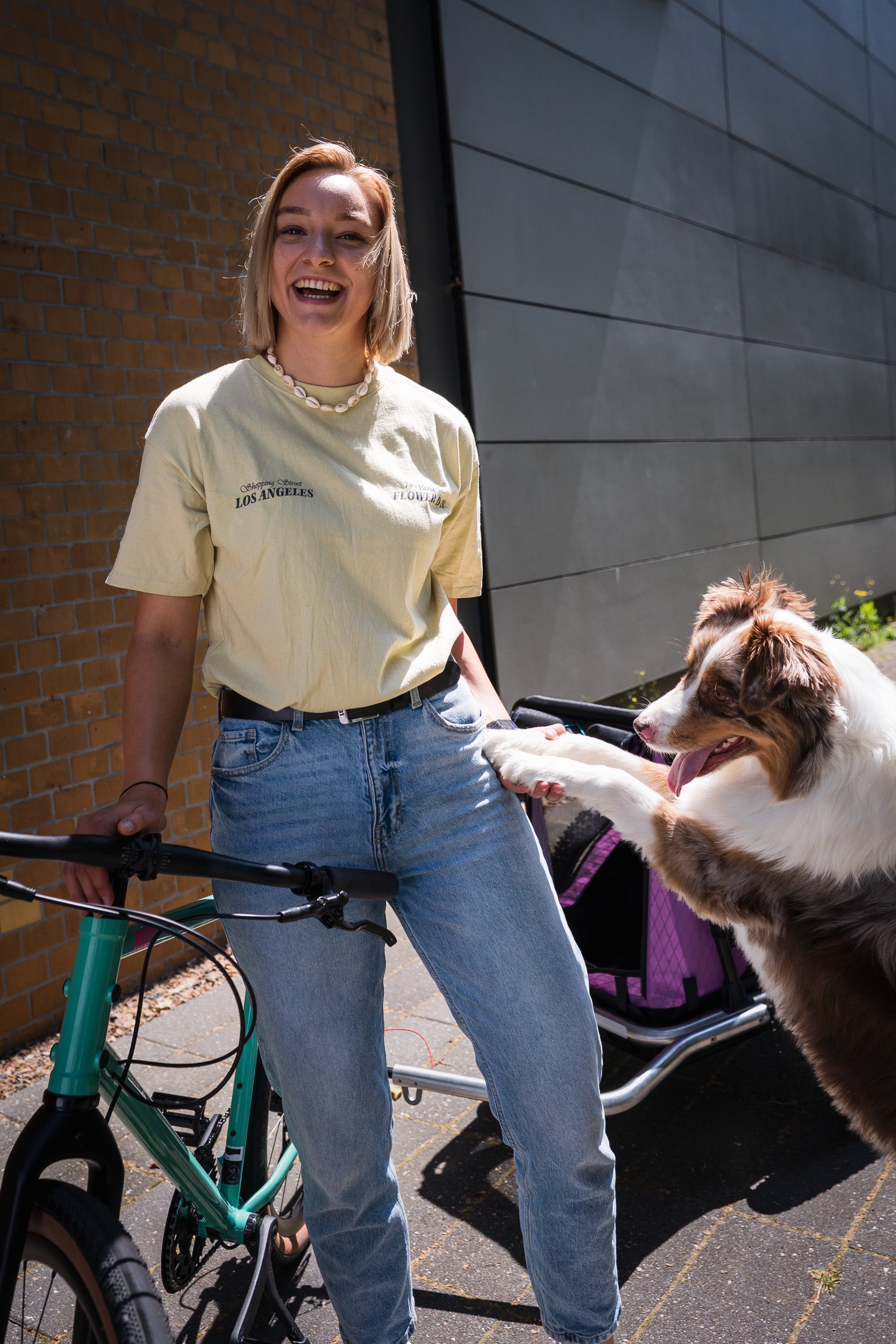 Spaß mit Hund 