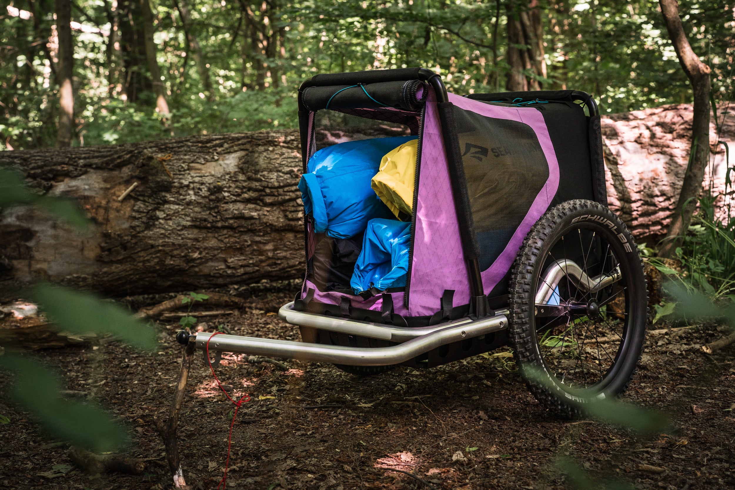 Gepäcktransport im Hundeanhänger