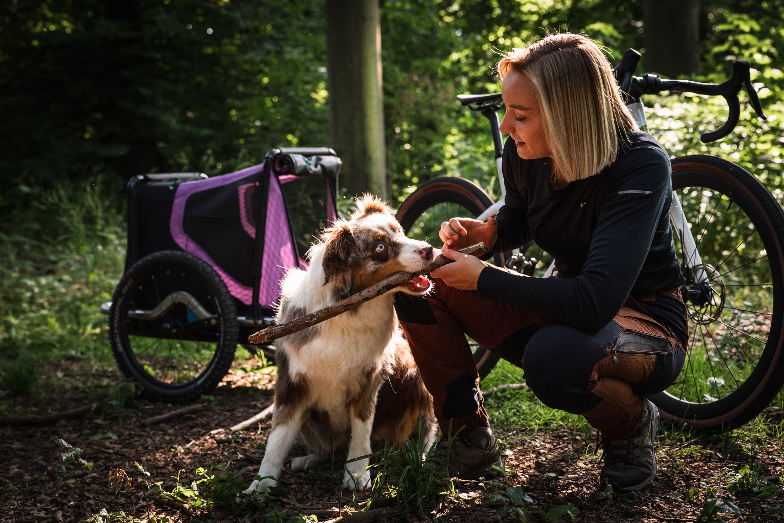 Ausflug mit Hund