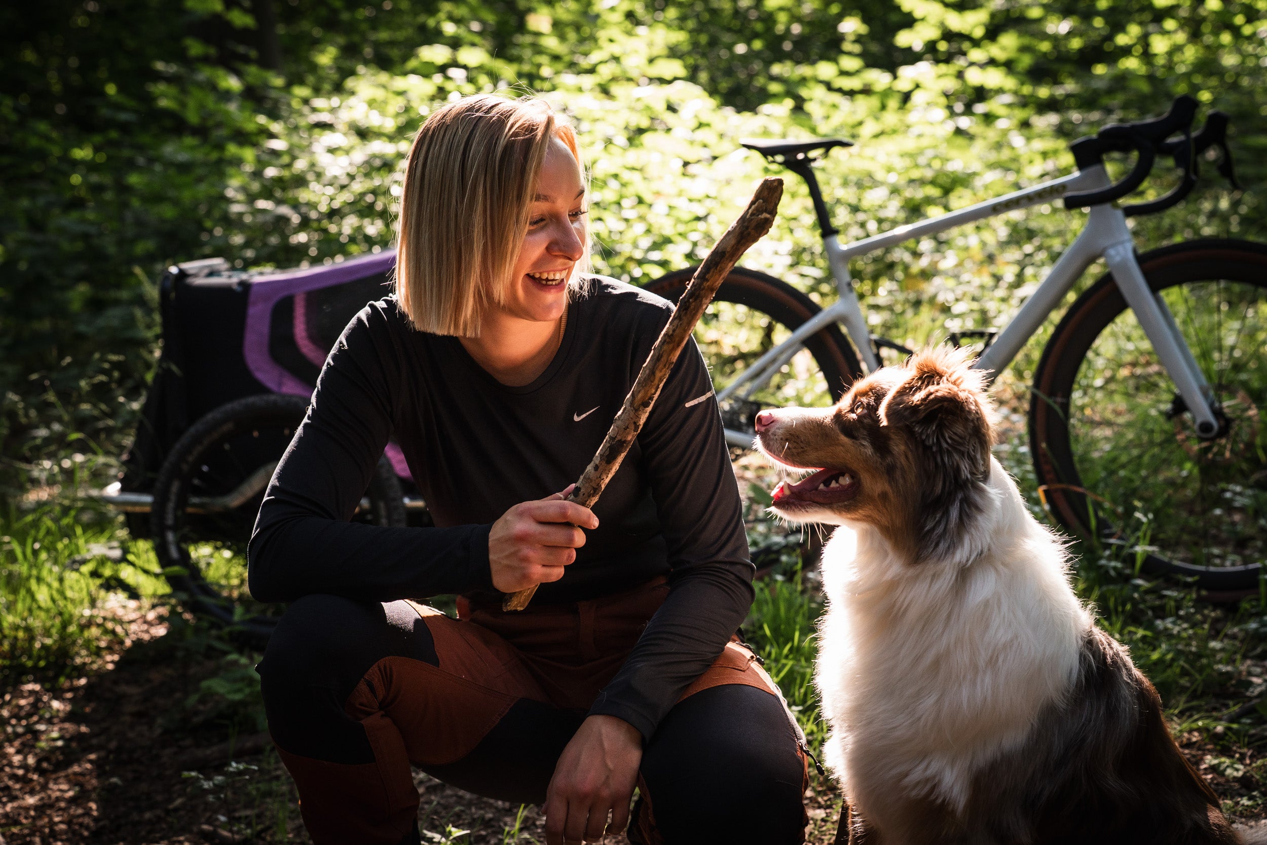 Spiel und Spass mit Hund und Hänger