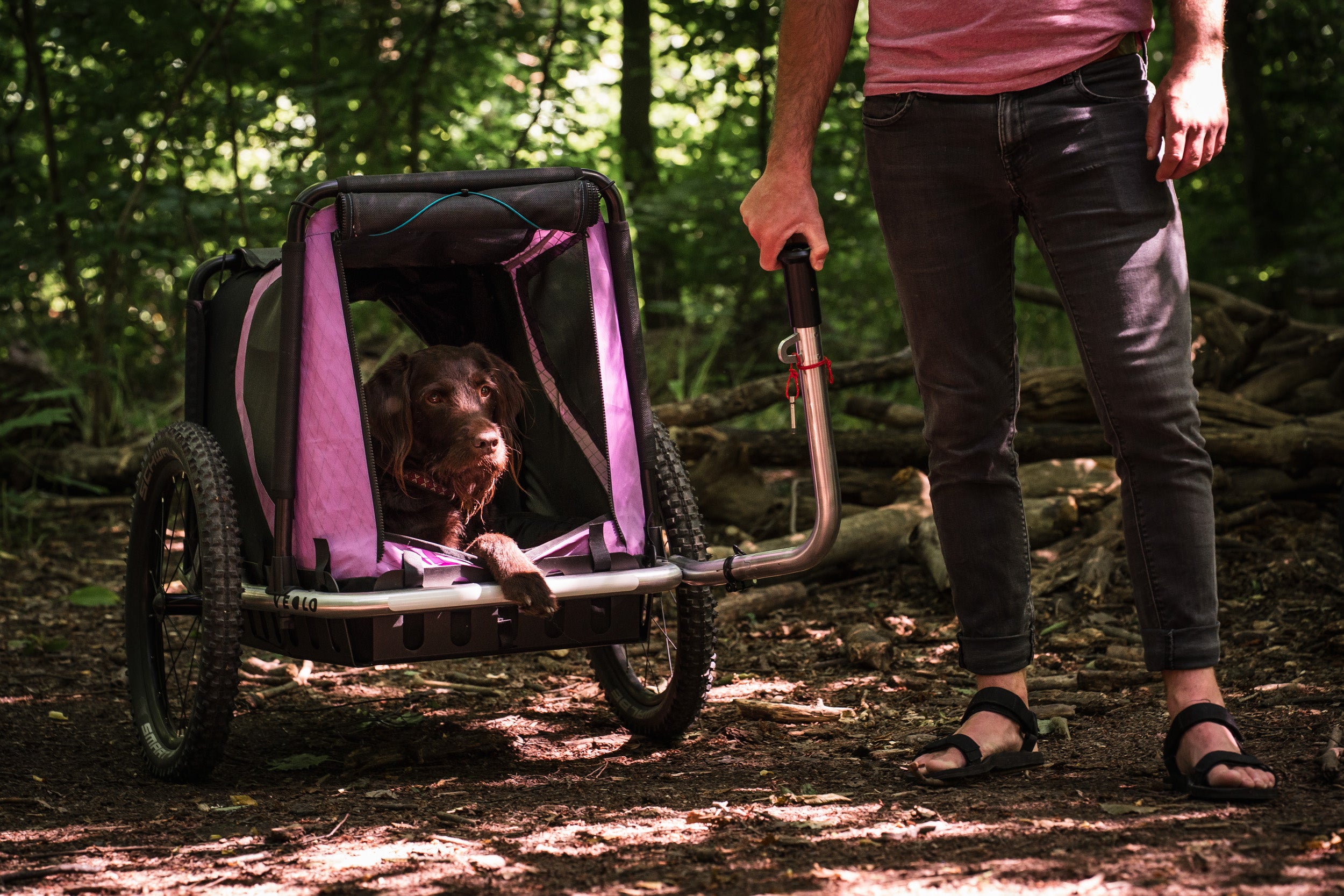 Hundeanhänger mit Handdeichsel