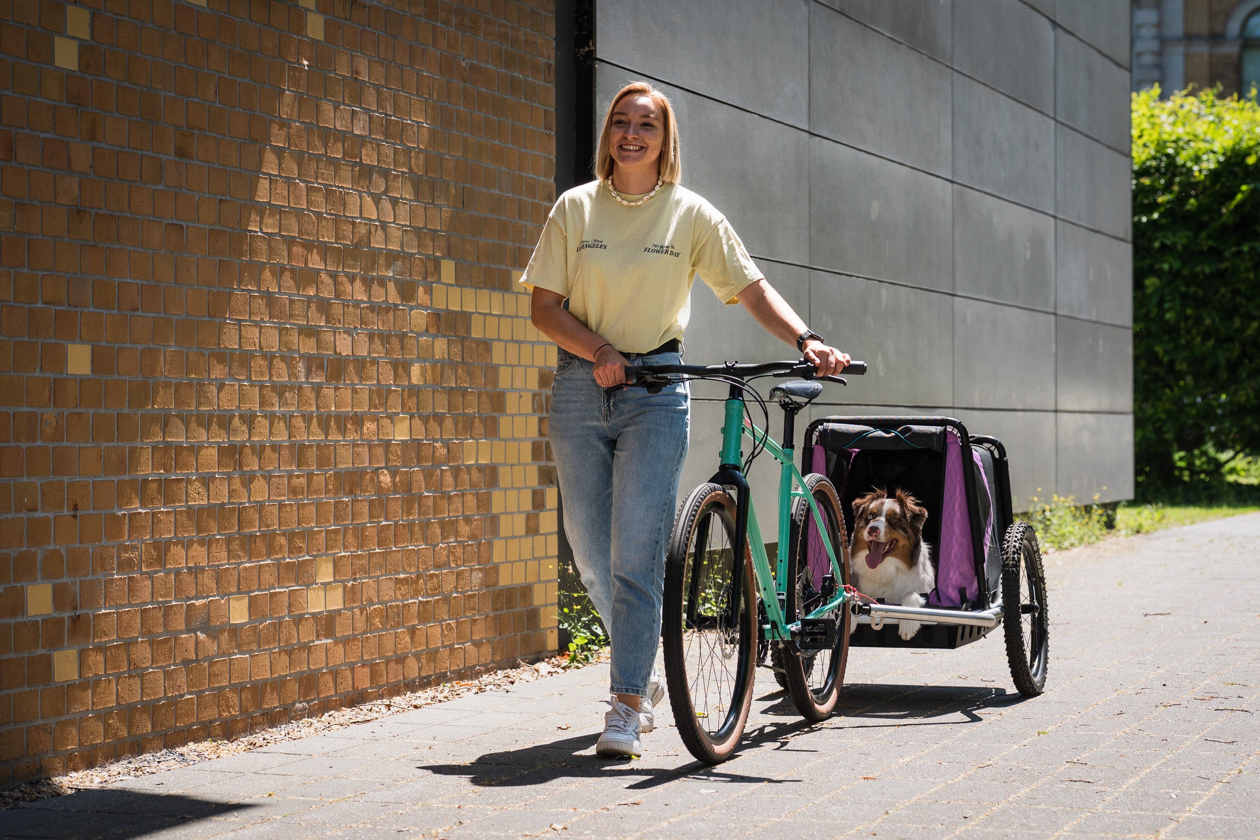 Hundeanhänger in der Stadt schiebend
